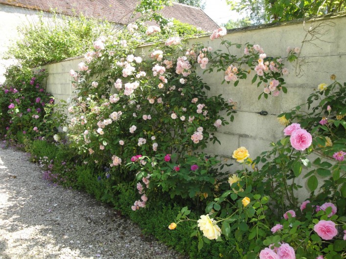 Location de vacances - Chambre d'hôtes à Saint-Loup-de-Naud - Chemin de roses