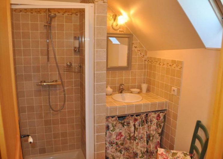 Location de vacances - Chambre d'hôtes à Saint-Loup-de-Naud - Salle de douche