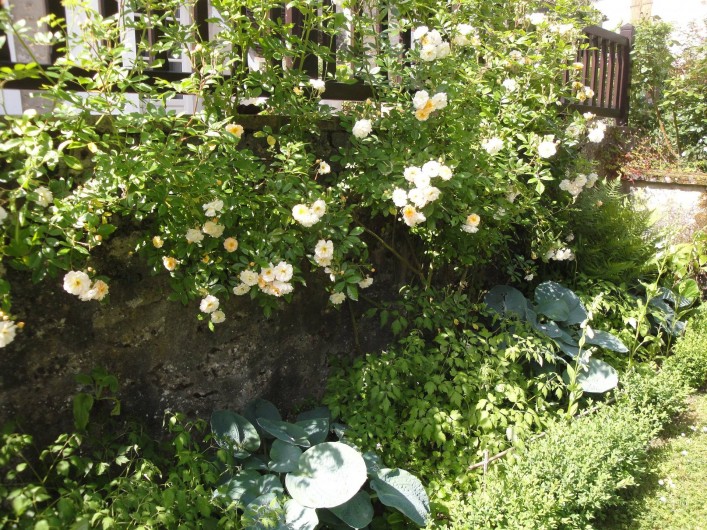 Location de vacances - Chambre d'hôtes à Saint-Loup-de-Naud - Ghislaine de Féligonde borde la cave