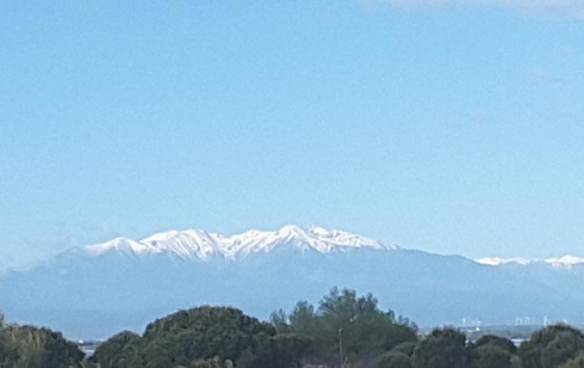 Location de vacances - Appartement à Le Barcarès - VUE DE L APPARTEMENT