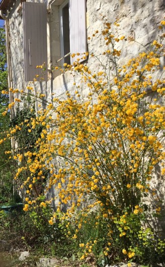 Location de vacances - Gîte à Lendou-en-Quercy - coté escalier sud ouest