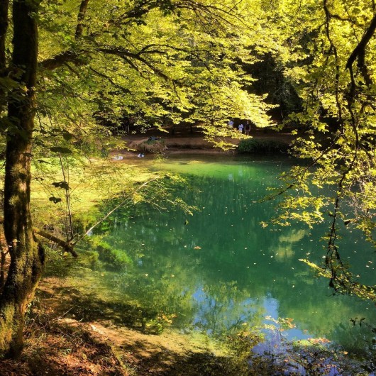 Location de vacances - Gîte à Lendou-en-Quercy - La rivière tout prés