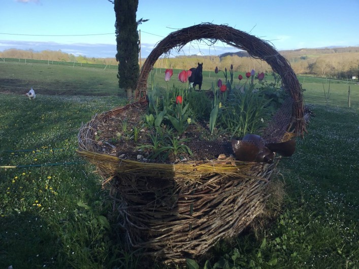 Location de vacances - Gîte à Lendou-en-Quercy - coté prairie