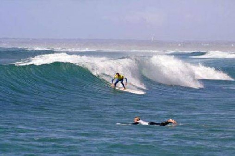 Location de vacances - Maison - Villa à Loctudy