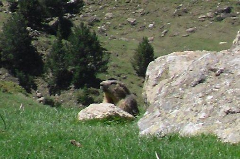Location de vacances - Appartement à Argelès-Gazost
