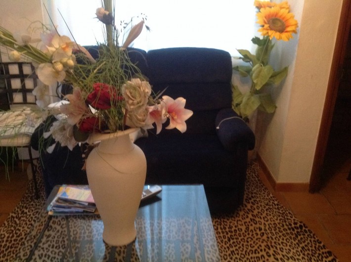 Location de vacances - Appartement à Mougins