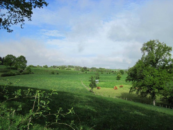 Location de vacances - Gîte à Senergues