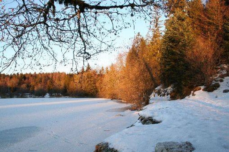 Location de vacances - Studio à La Bresse