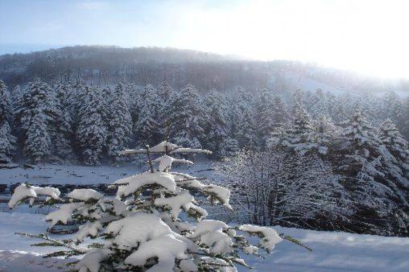 Location de vacances - Studio à La Bresse