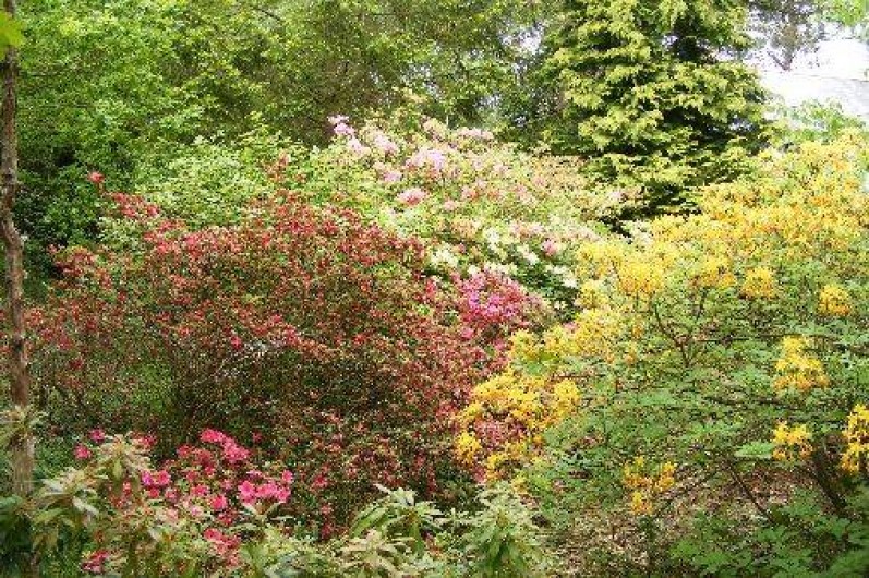 Location de vacances - Studio à Baden