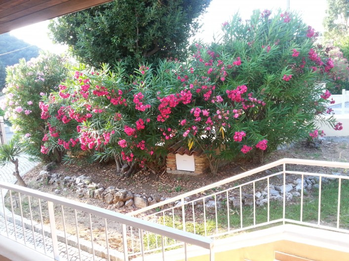 Location de vacances - Villa à Auribeau-sur-Siagne