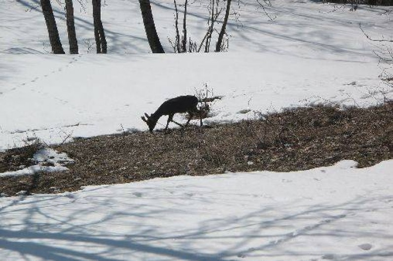 Location de vacances - Appartement à Saint-Martin-de-Belleville