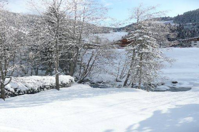 Location de vacances - Chalet à Châtel
