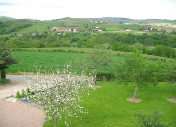 Location de vacances - Chambre d'hôtes à Saint-Laurent-d'Oingt - Chambre Horizon