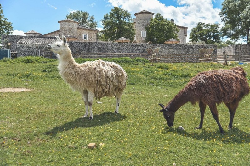 Location de vacances - Gîte à Ruoms - Chambre