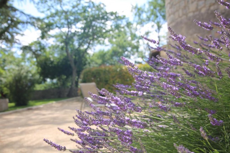Location de vacances - Gîte à Ruoms