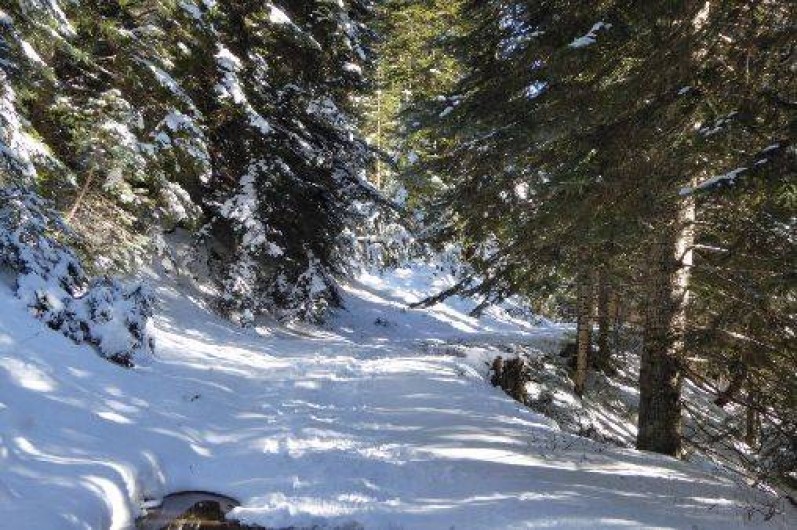 Location de vacances - Appartement à Péone