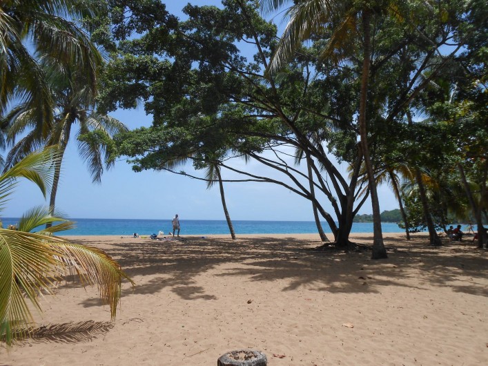 Location de vacances - Chalet à Deshaies - plage de Grand-Anse à Deshaies