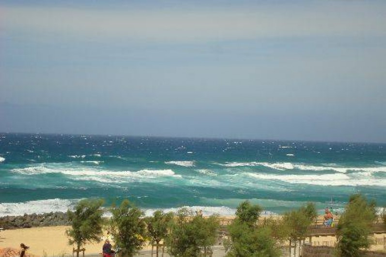 Location de vacances - Studio à Soorts