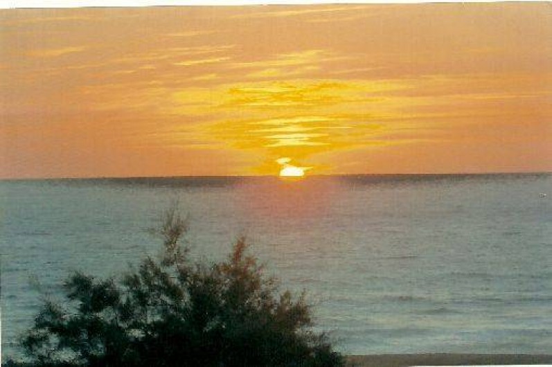 Location de vacances - Studio à Soorts