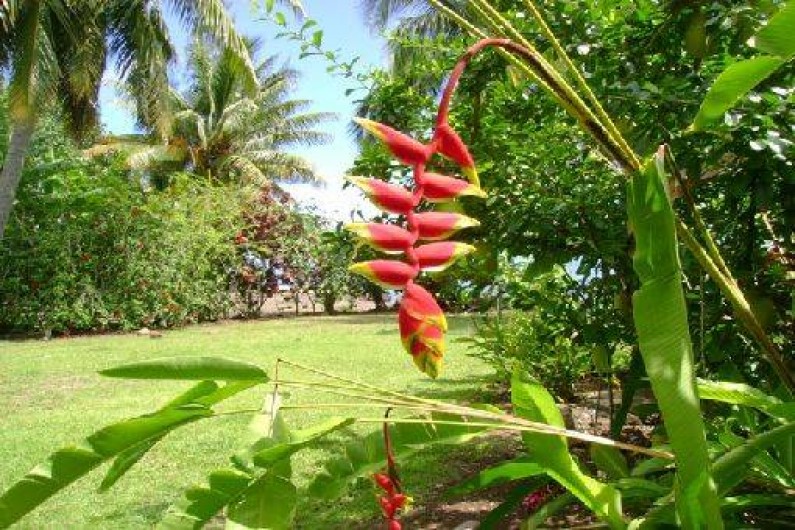 Location de vacances - Maison - Villa à Papeotai