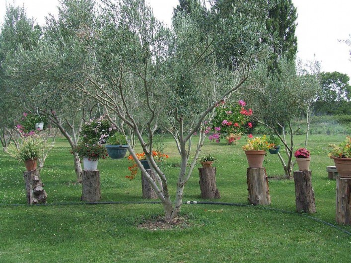 Location de vacances - Appartement à La Cadière-d'Azur - espace foret d'olivier