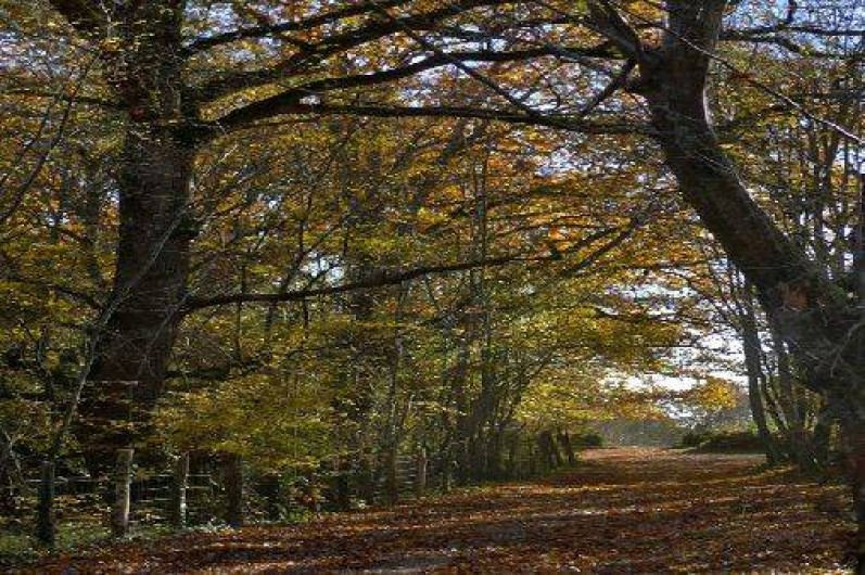 Location de vacances - Gîte à Saint-Martin-des-Combes