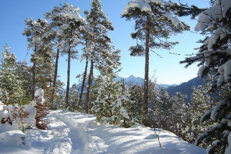 Location de vacances - Appartement à Saint-Chaffrey