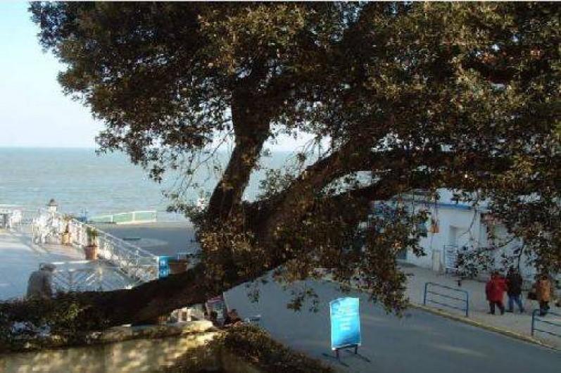 Location de vacances - Appartement à Noirmoutier-en-l'Île