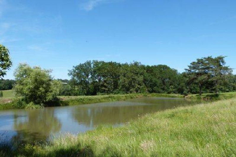 Location de vacances - Gîte à Limeyrat