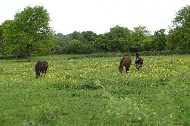 Location de vacances - Gîte à Bagneux