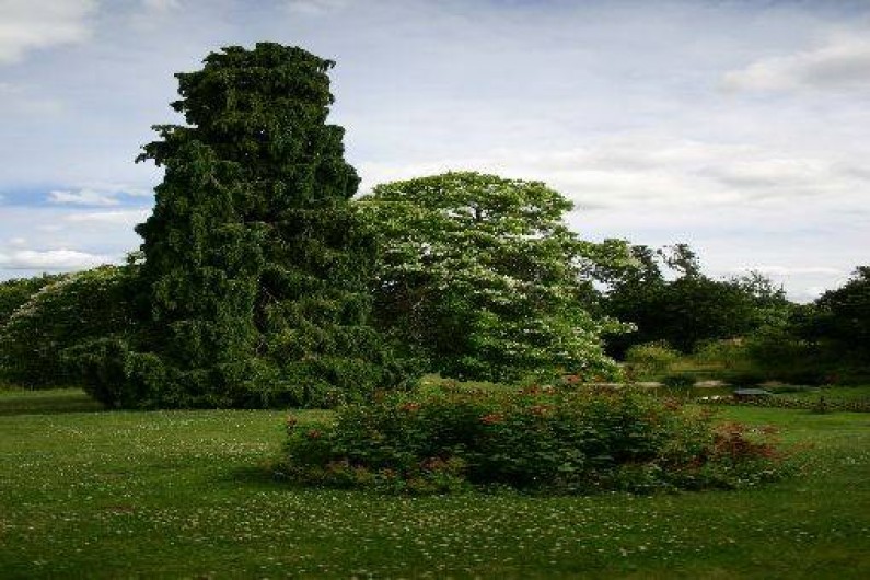 Location de vacances - Gîte à Saint-Jean-de-la-Motte