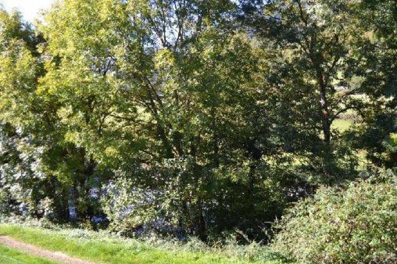 Location de vacances - Appartement à Arreau