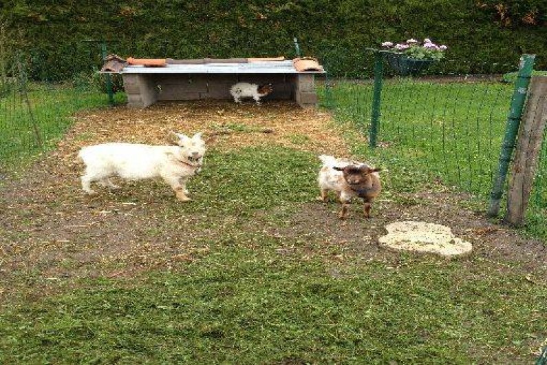 Location de vacances - Gîte à Ottonville