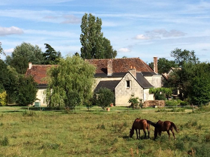 Location de vacances - Villa à Berthenay - Domaine: ferme restaurée et prairie