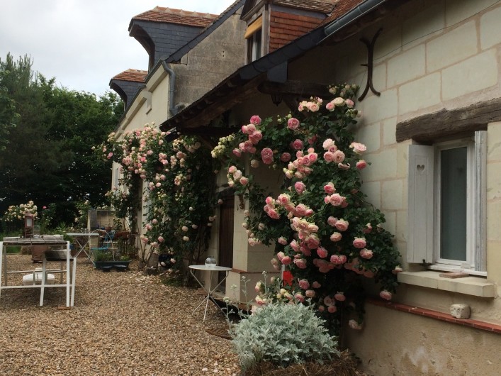 Location de vacances - Villa à Berthenay - South front with Pierre de Ronsard roses