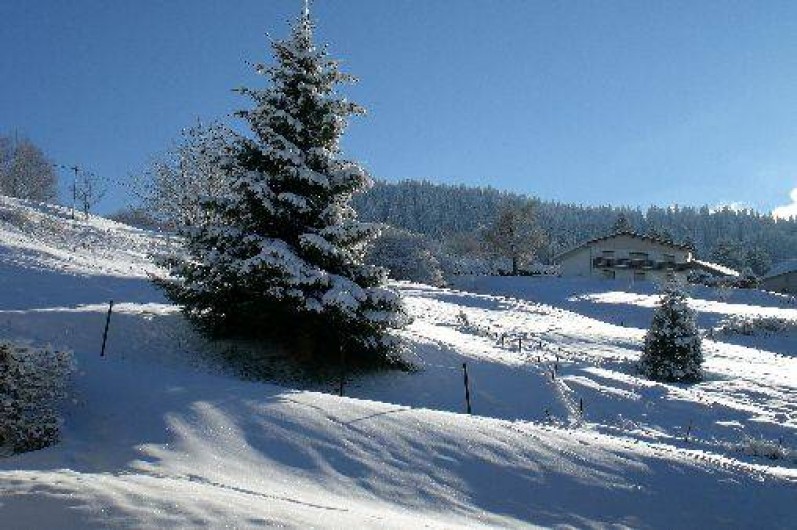 Location de vacances - Gîte à La Bresse