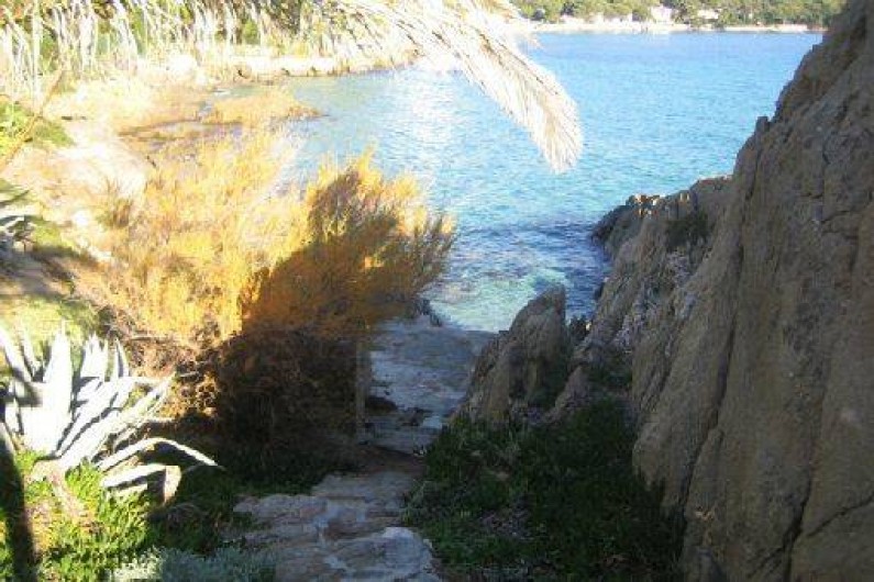 Location de vacances - Villa à Le Lavandou