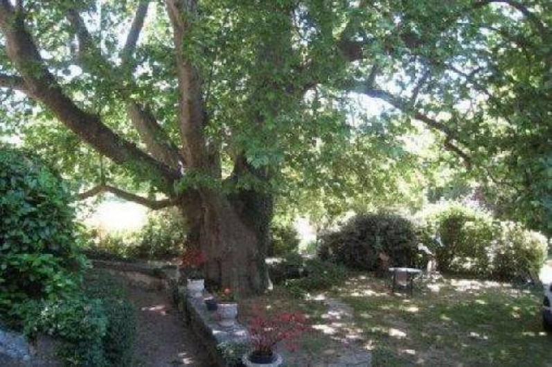 Location de vacances - Maison - Villa à Malaucène