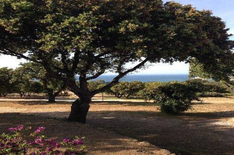 Location de vacances - Appartement à Algajola