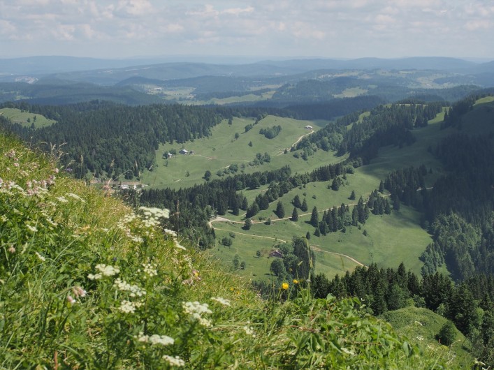 Location de vacances - Chalet à La Pesse - La borne au Lion vue depuis  le Crêt de Chalam
