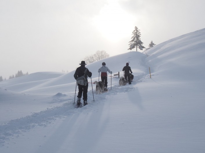Location de vacances - Chalet à La Pesse - Randonnée Raquettes