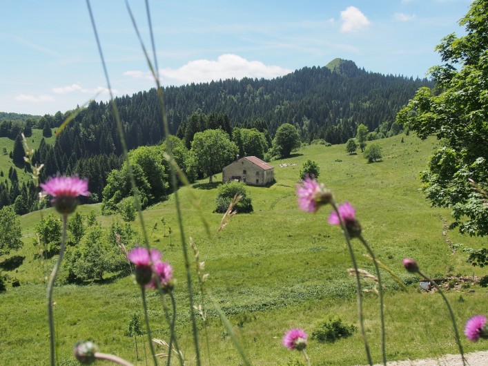Location de vacances - Chalet à La Pesse - Le Crêt de Chalam vu depuis  La borne au Lion