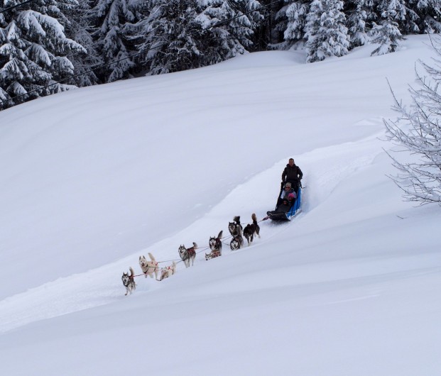 Location de vacances - Chalet à La Pesse - Ballade à  chien de traîneau