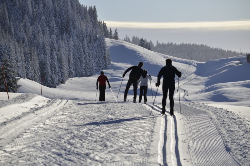 Location de vacances - Chalet à La Pesse - Ski de fond