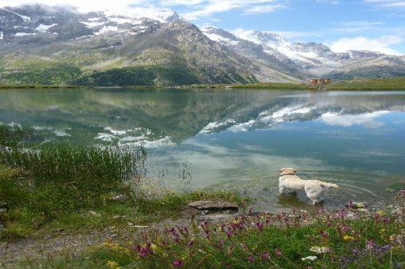 Location de vacances - Appartement à La Grave