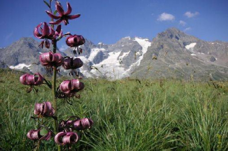 Location de vacances - Appartement à La Grave