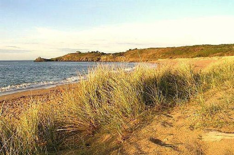 Location de vacances - Villa à Cancale - La plage du Verger accessible à pied et surveillée en été.