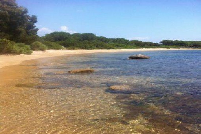 Location de vacances - Maison - Villa à Figari