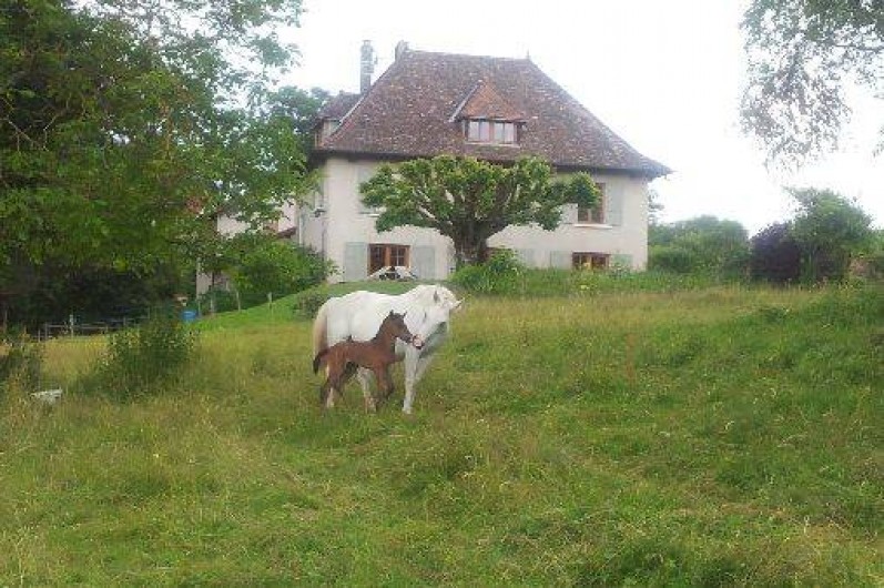 Location de vacances - Chambre d'hôtes à Bilieu
